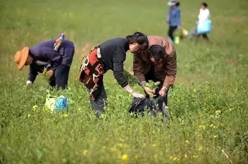 游葛牌镇心得体会_游葛牌古镇作文_葛牌镇旅游攻略