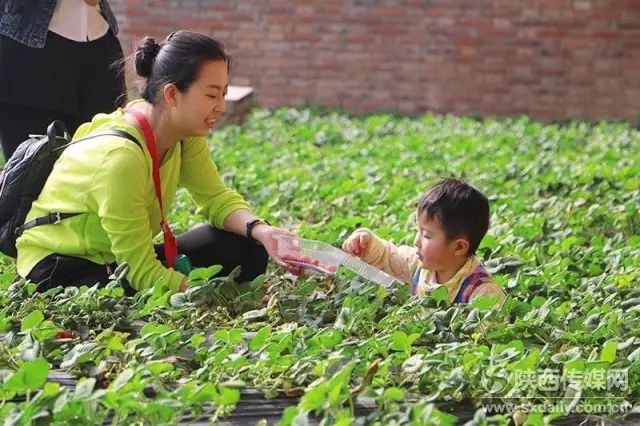 游葛牌镇心得体会_游葛牌古镇作文_葛牌镇旅游攻略