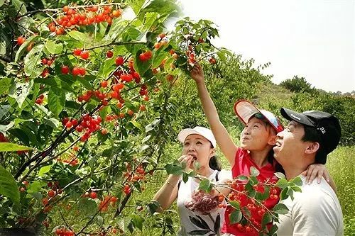 游葛牌古镇作文_葛牌镇旅游攻略_游葛牌镇心得体会