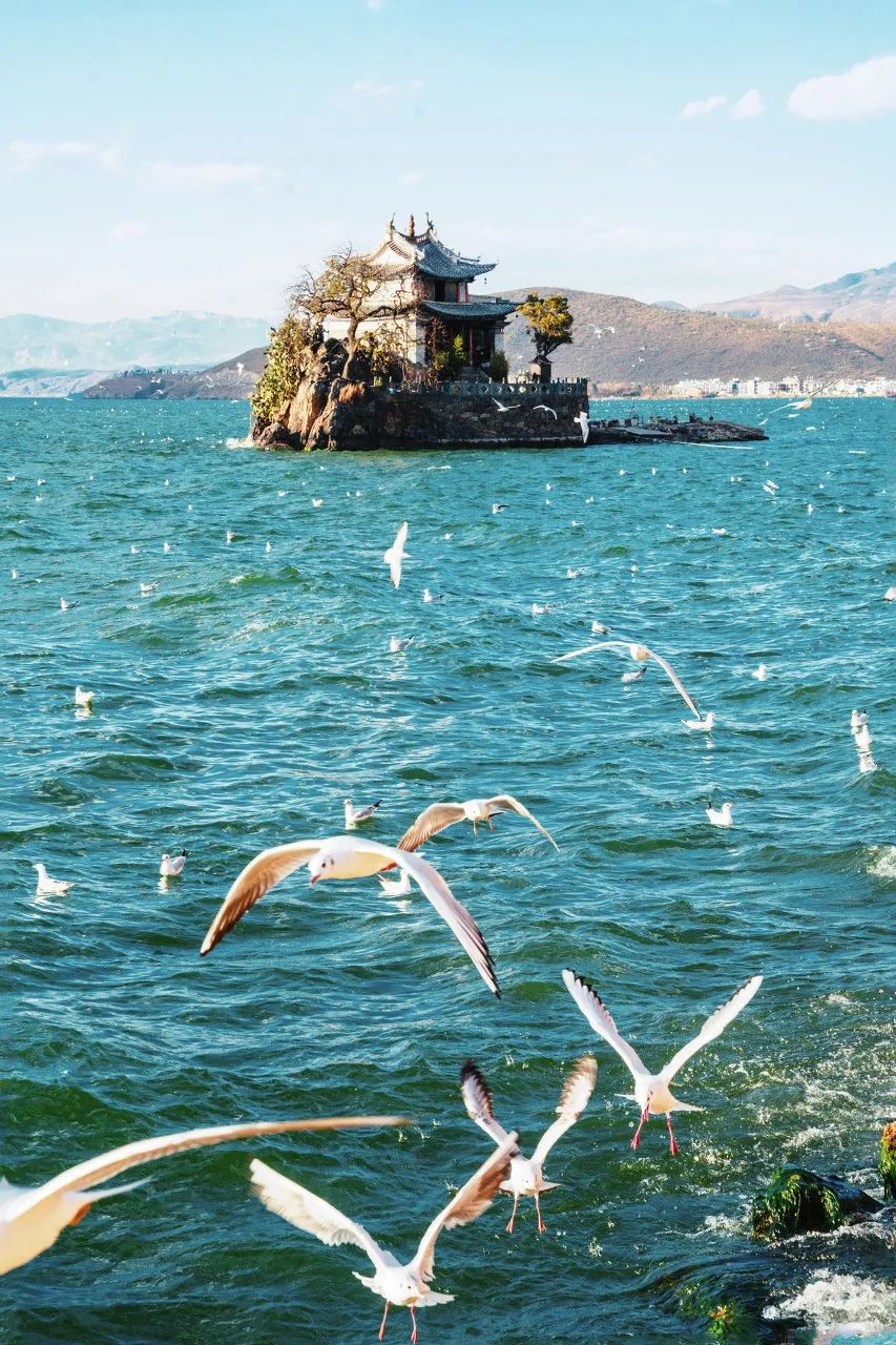 郑州青海湖自驾游预算_郑州去青海湖旅游攻略_从郑州自驾游青海旅游攻略