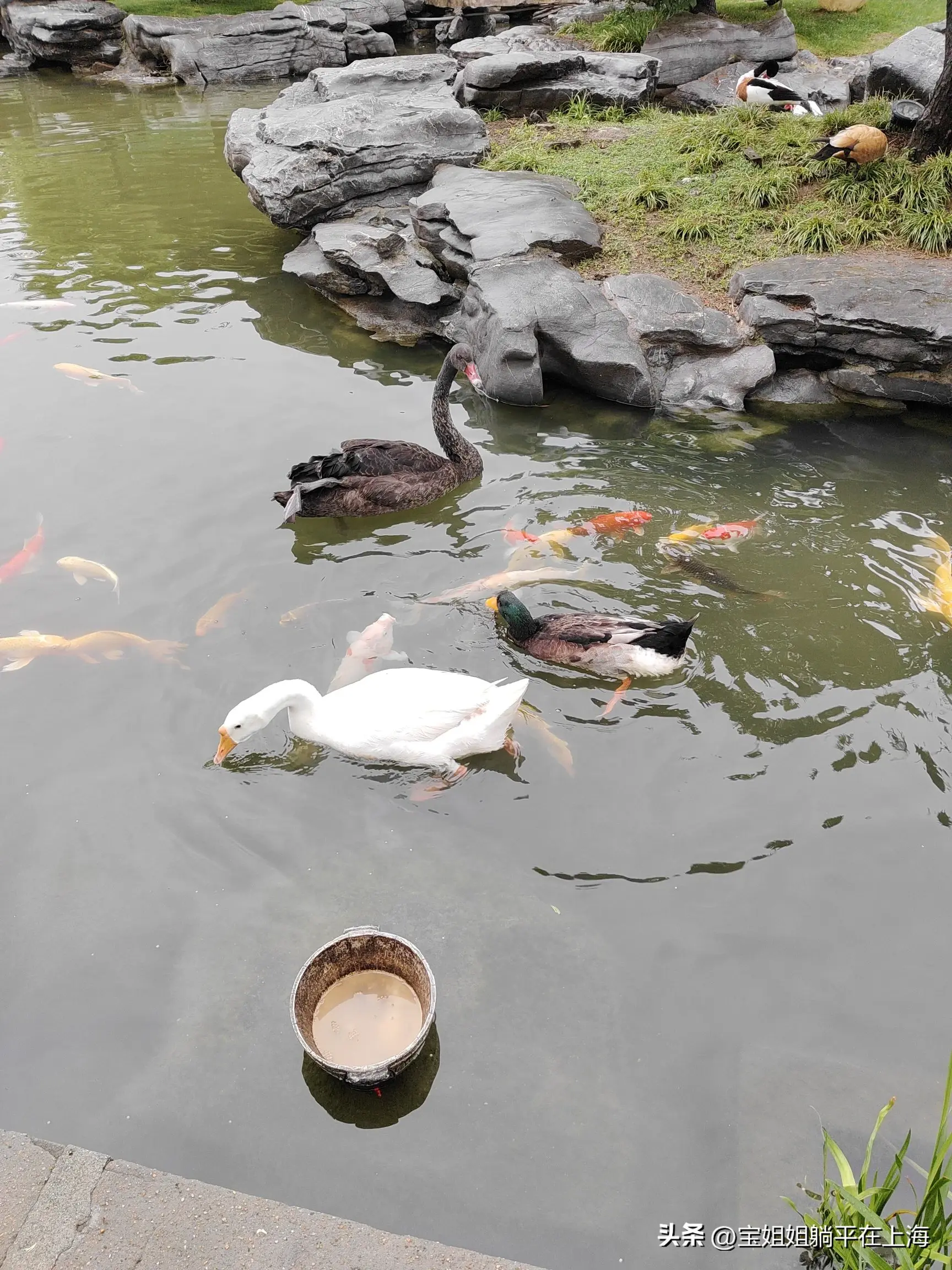 南京出发上海一日游_上海攻略南京旅游去哪个机场_上海去南京旅游攻略