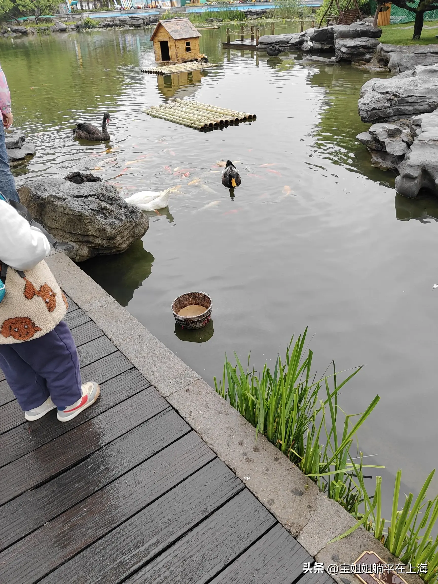 南京出发上海一日游_上海去南京旅游攻略_上海攻略南京旅游去哪个机场