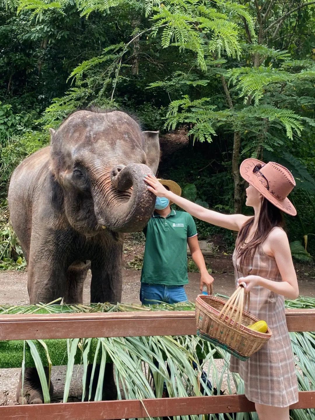 丽江大理西双版纳旅游攻略_大理丽江西双版纳哪里好玩_大理丽江西双版纳旅游线路