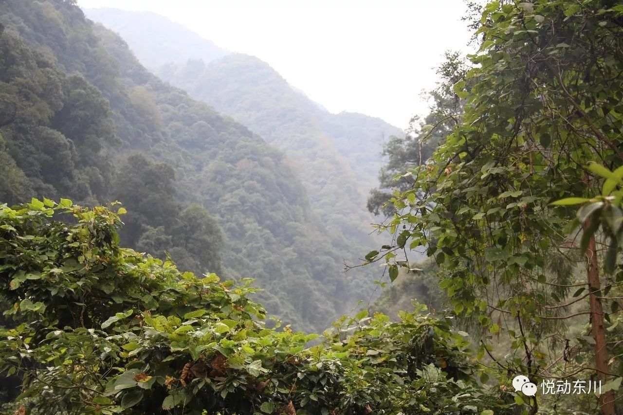 螺髻山怎么玩_螺髻山旅游攻略_螺髻山山脉