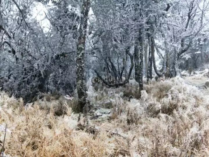 螺髻山山脚海拔有多高_螺髻山旅游攻略_螺髻山航拍视频