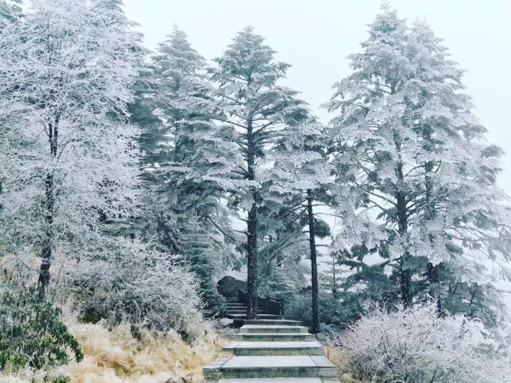 螺髻山旅游攻略_螺髻山航拍视频_螺髻山山脚海拔有多高