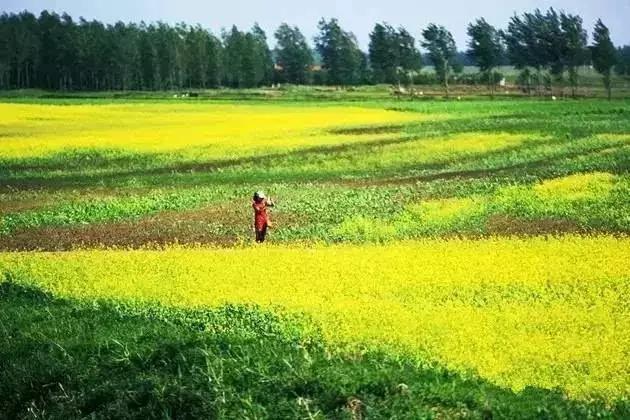 绿江村旅游资源_绿江村自驾游旅游攻略_绿江村旅游攻略