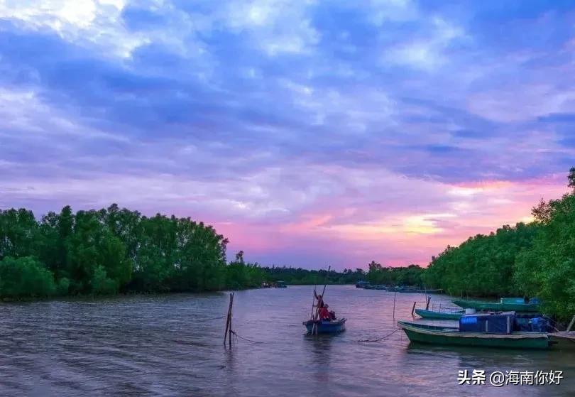 江西白鹭村旅游攻略_江西白鹭乡_江西白鹭古村