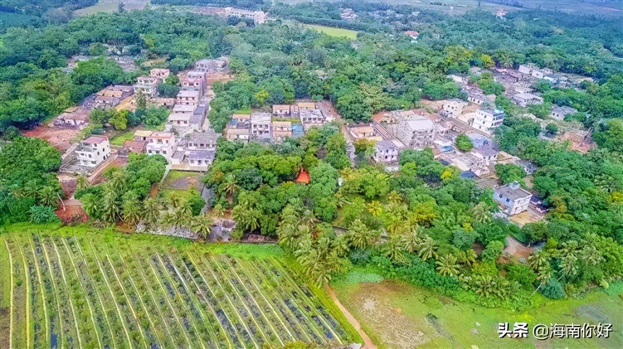 江西白鹭古村_江西白鹭村旅游攻略_江西白鹭乡