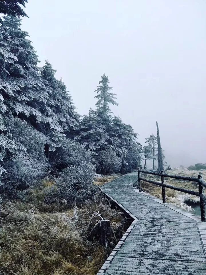 螺髻山上有什么吃的吗_螺髻山旅游攻略_螺髻山航拍视频