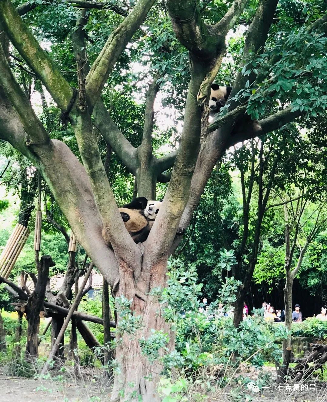 重庆到北京六日游攻略_重庆到北京旅游报价_重庆到北京旅游攻略