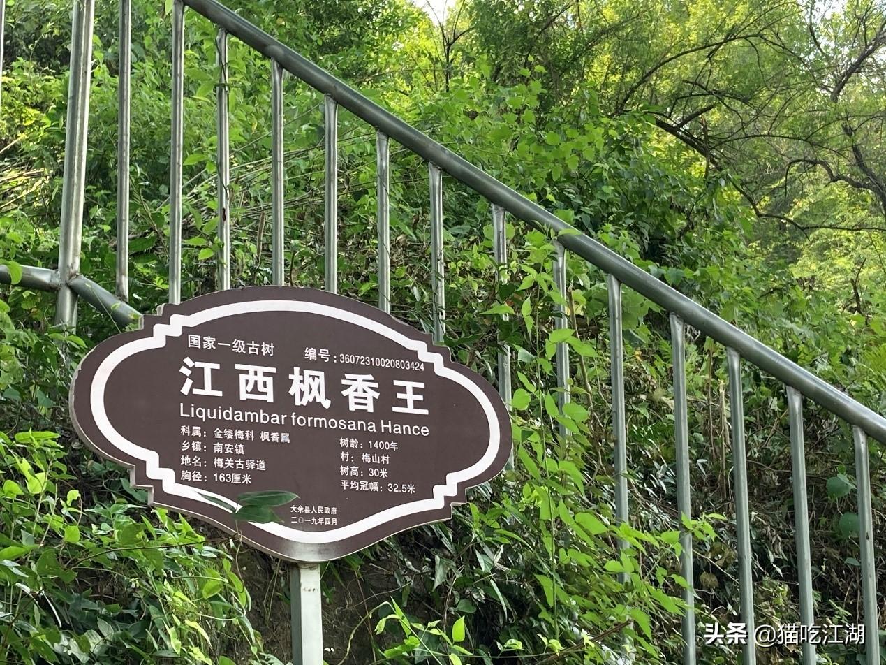 江西白鹭湖景区_江西攻略白鹭旅游村_江西白鹭村旅游攻略