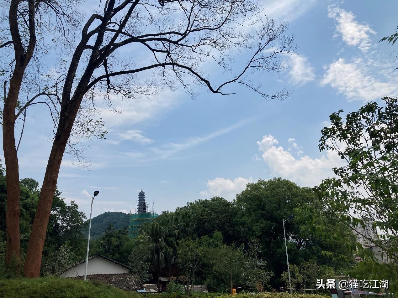 江西攻略白鹭旅游村_江西白鹭湖景区_江西白鹭村旅游攻略