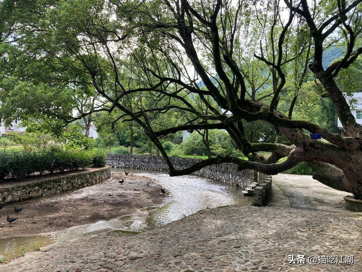 江西白鹭湖景区_江西攻略白鹭旅游村_江西白鹭村旅游攻略