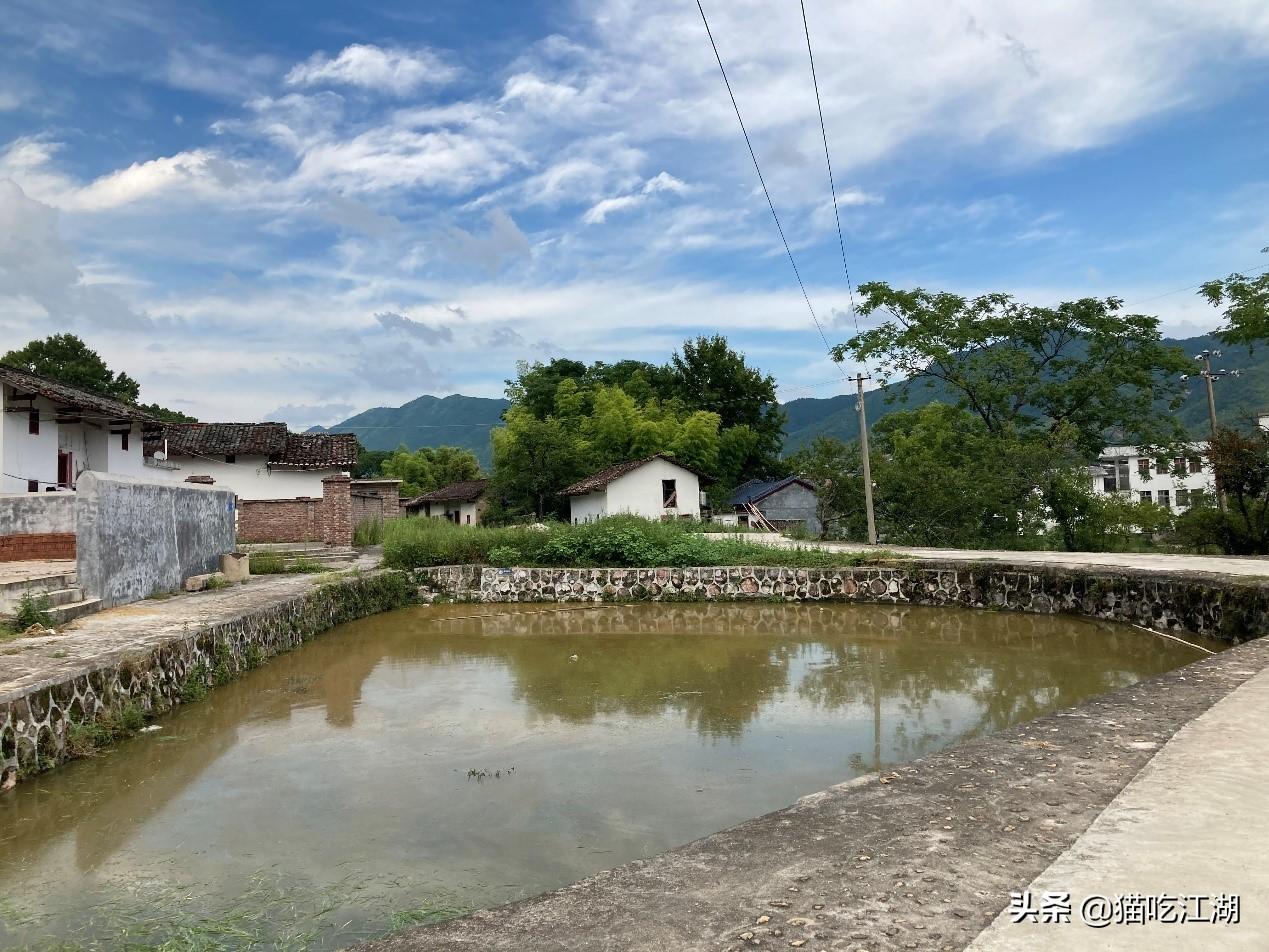 江西白鹭湖景区_江西白鹭村旅游攻略_江西攻略白鹭旅游村