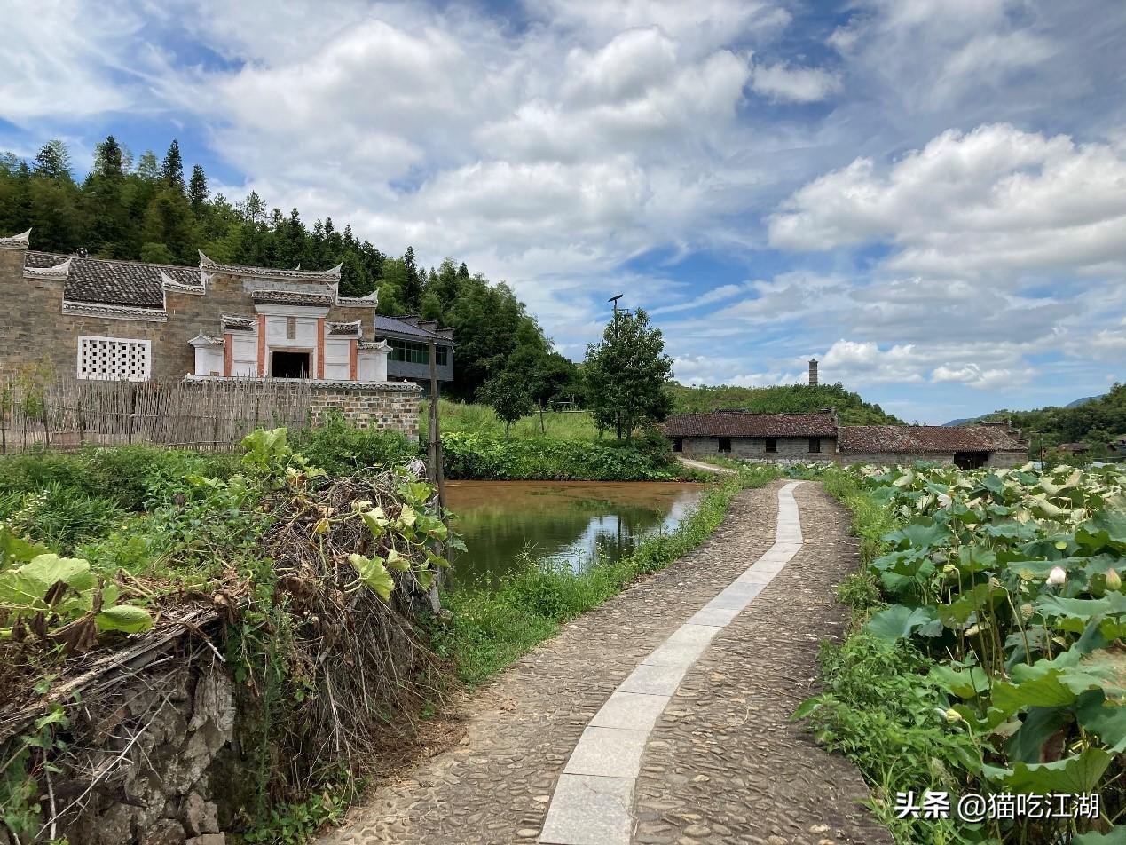 江西攻略白鹭旅游村_江西白鹭村旅游攻略_江西白鹭湖景区