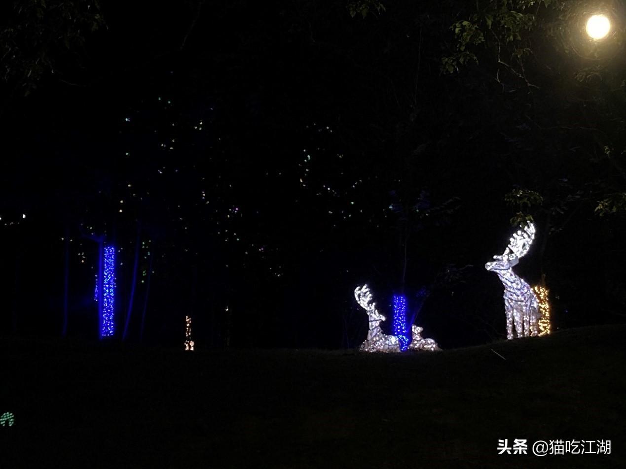 江西攻略白鹭旅游村_江西白鹭村旅游攻略_江西白鹭湖景区