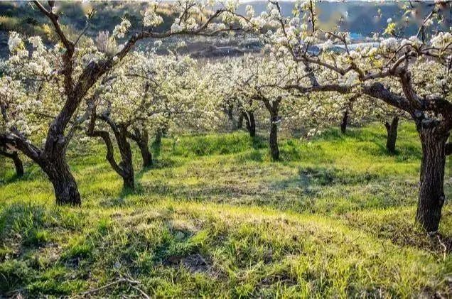 岫岩清凉山旅游攻略_清凉山岫岩_岫岩的山