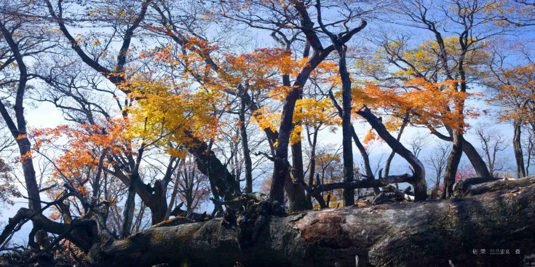 三角龙湾旅游线路_三角龙湾旅游攻略_三角龙湾周边游