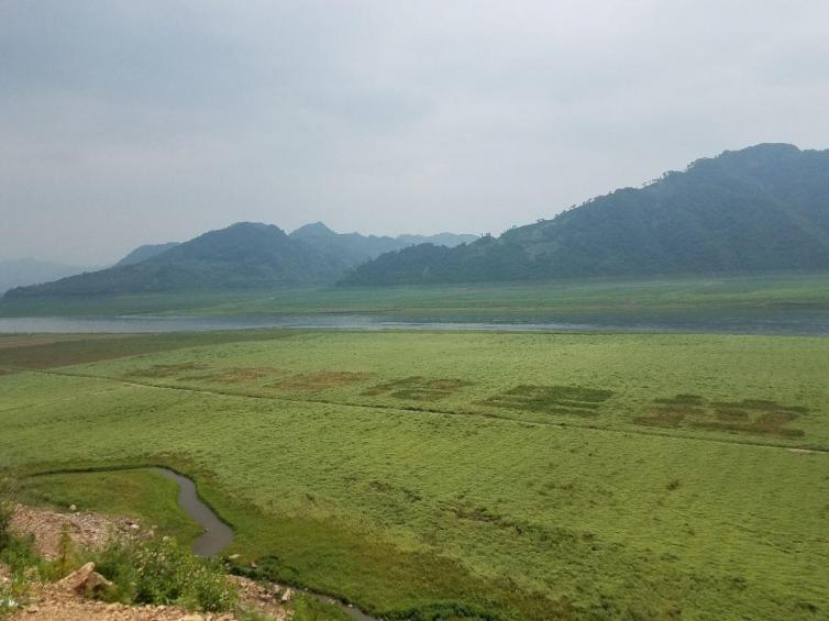 绿江村一日游_绿江村旅游资源_绿江村旅游攻略