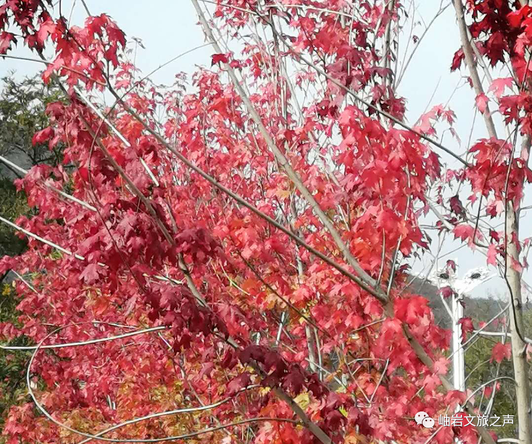 岫岩清凉山旅游攻略_岫岩的山_鞍山岫岩景区