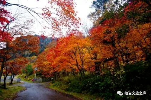 岫岩的山_岫岩清凉山旅游攻略_鞍山岫岩景区