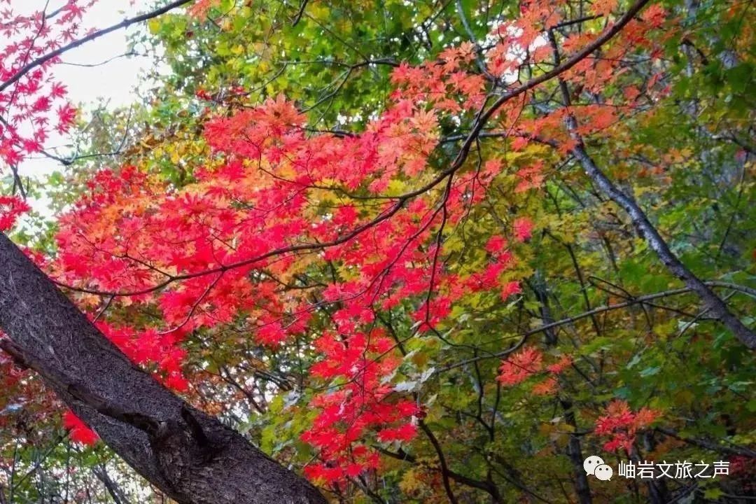 岫岩清凉山旅游攻略_岫岩的山_鞍山岫岩景区