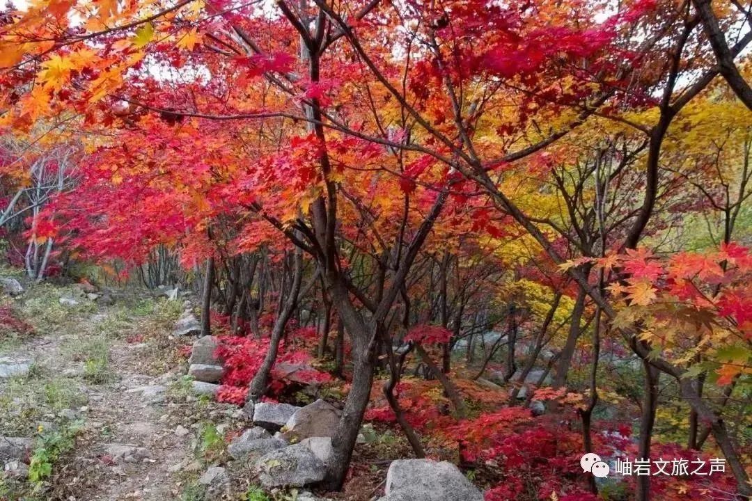 岫岩清凉山旅游攻略_鞍山岫岩景区_岫岩的山