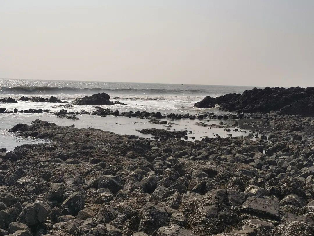 漳州海门岛自驾游一日游攻略_漳州海_漳州海门岛旅游攻略