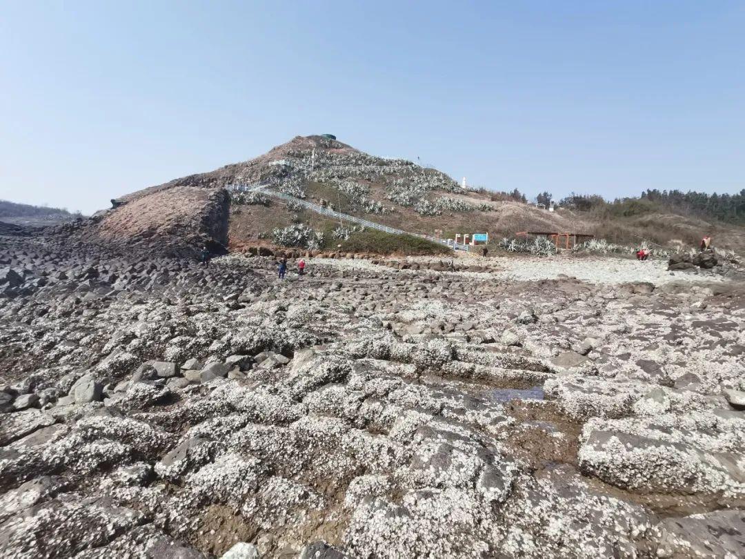 漳州海门岛自驾游一日游攻略_漳州海门岛旅游攻略_漳州海