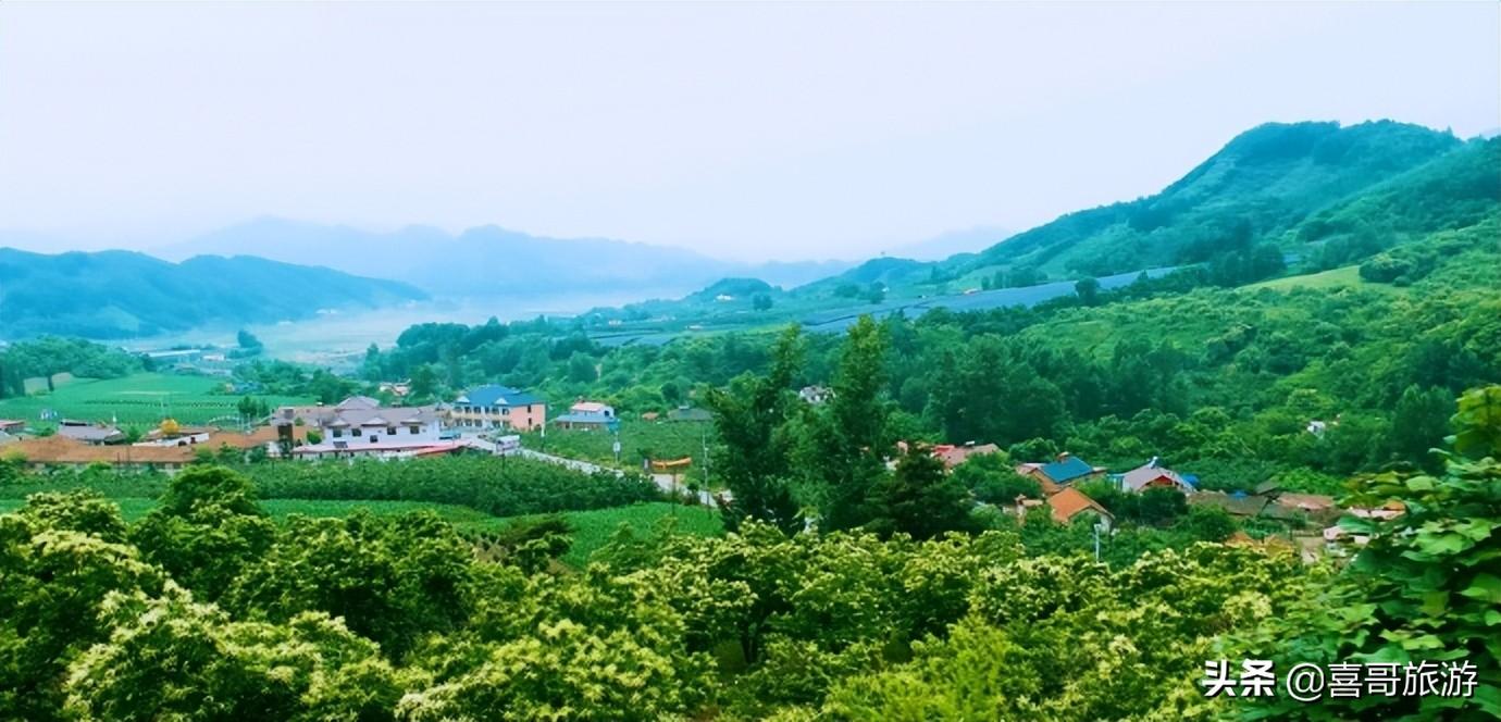 绿江村旅游攻略_绿江村一日游_绿江村自驾游旅游攻略