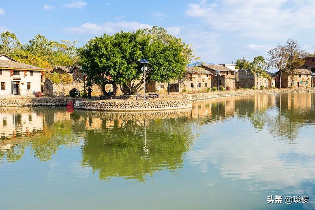 江西白鹭湖景区_江西攻略白鹭旅游村_江西白鹭村旅游攻略