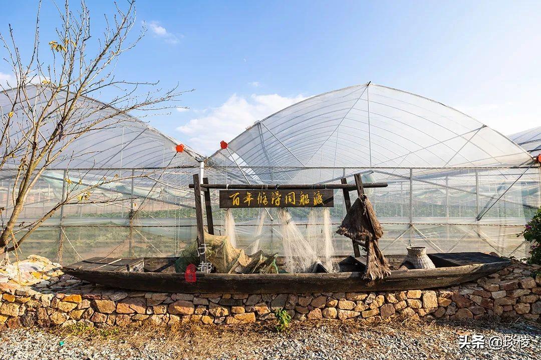 江西白鹭湖景区_江西攻略白鹭旅游村_江西白鹭村旅游攻略