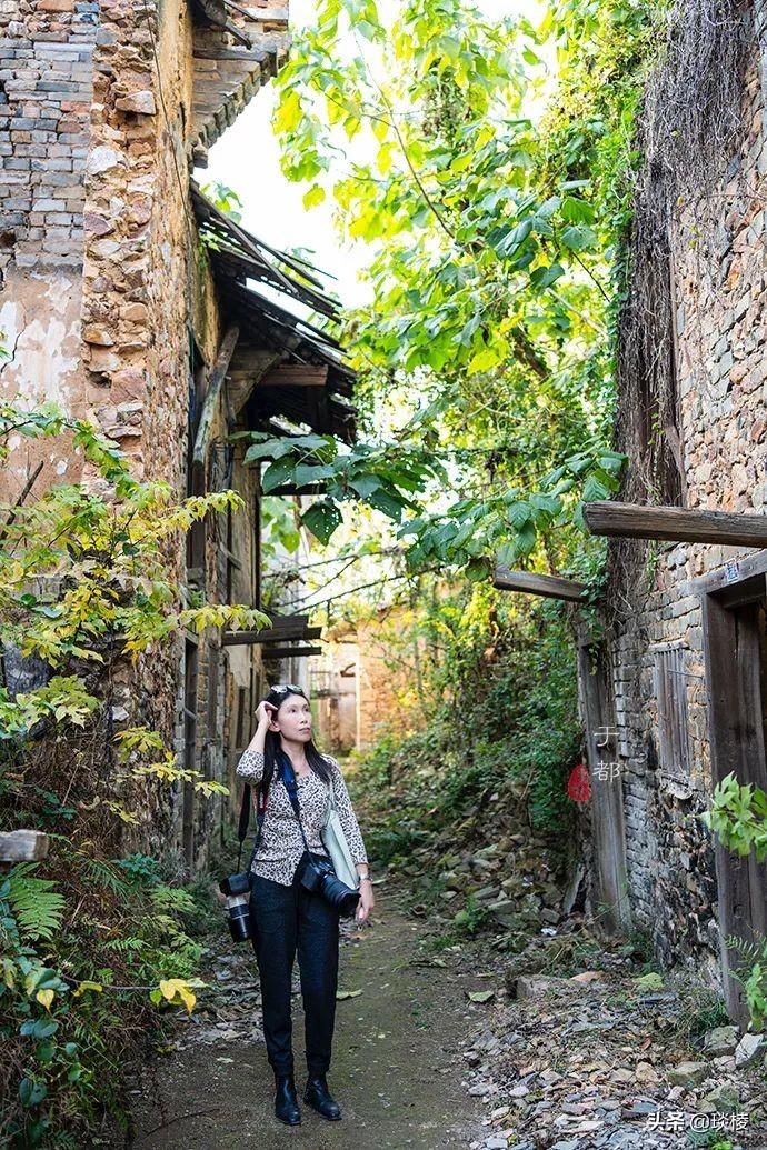 江西攻略白鹭旅游村_江西白鹭村旅游攻略_江西白鹭湖景区