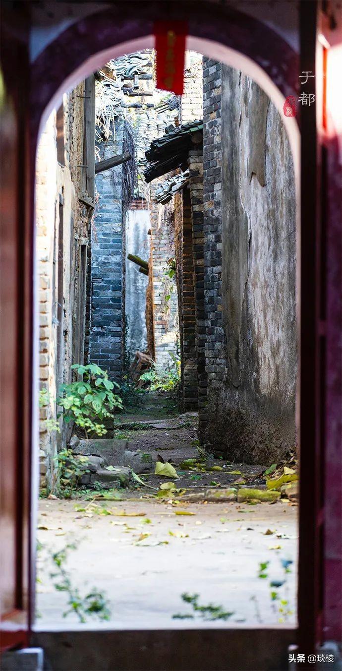 江西白鹭湖景区_江西白鹭村旅游攻略_江西攻略白鹭旅游村