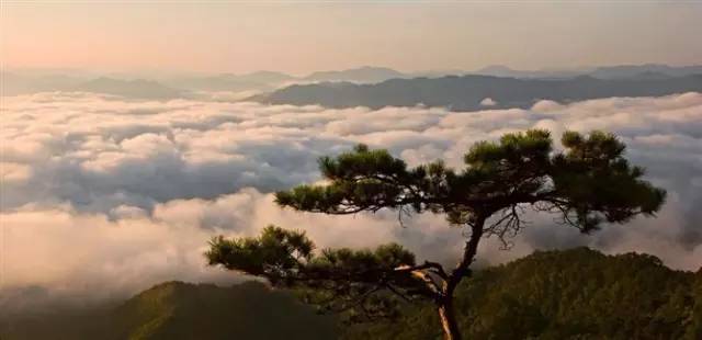 绿江村一日游_绿江村自驾游旅游攻略_绿江村旅游攻略