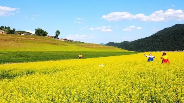 绿江村旅游资源_绿江村一日游_绿江村旅游攻略