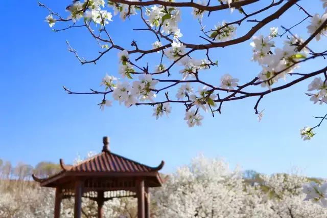 三角龙湾周边游_三角龙湾旅游攻略_三角龙湾旅游区