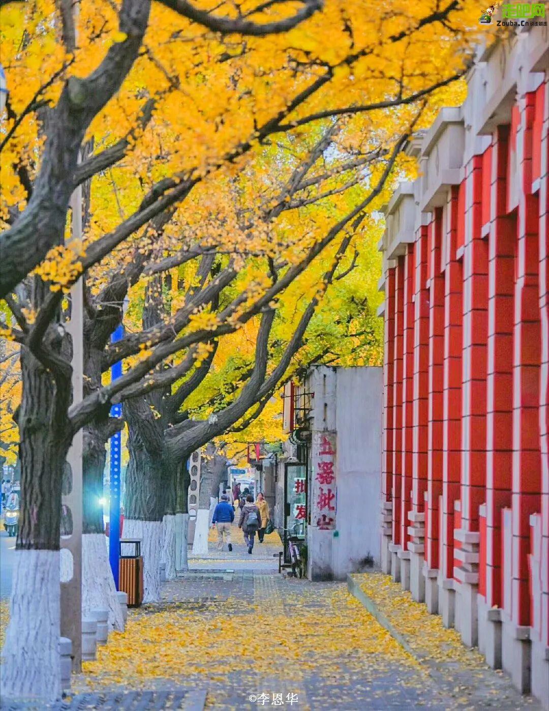 绿江村旅游资源_绿江村自驾游旅游攻略_绿江村旅游攻略