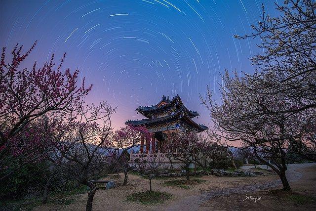 无锡旅游景点梅园_无锡攻略旅游梅园景点_无锡梅园旅游攻略