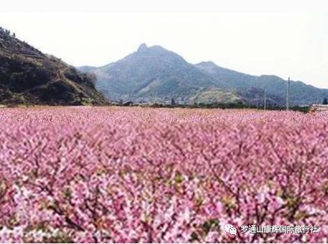 丹东凤凰山附近有什么吃的_丹东凤凰山一日游多少钱_自助丹东凤凰山旅游攻略