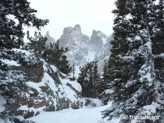 去阿尔卑斯山脉旅行多少钱_阿尔卑斯山旅行_阿尔卑斯山旅游准备衣服攻略