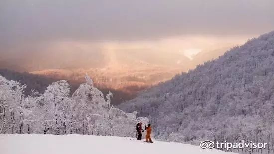 阿尔卑斯山旅游准备衣服攻略_阿尔卑斯山旅行_去阿尔卑斯山脉旅行多少钱