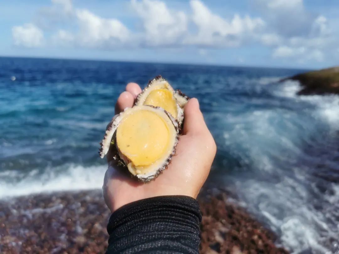 庙湾岛旅游平时多少钱_庙湾岛旅游攻略_庙湾岛门票多少钱