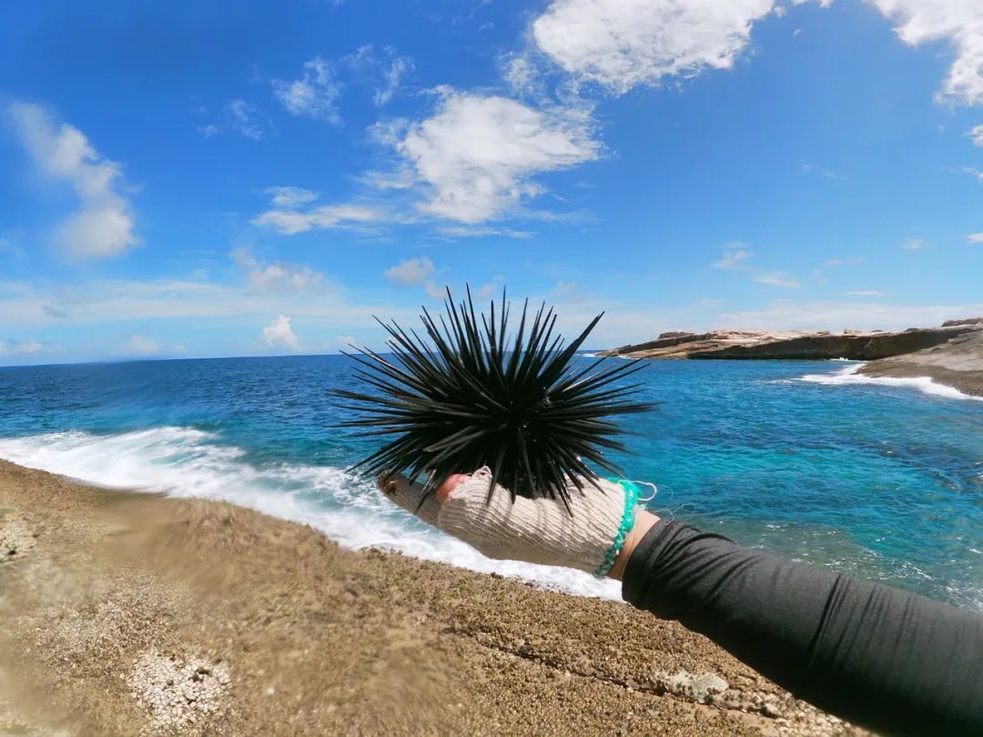 庙湾岛旅游攻略_庙湾岛旅游平时多少钱_庙湾岛门票多少钱