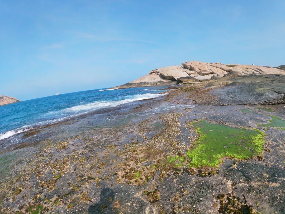 庙湾岛门票多少钱_庙湾岛旅游平时多少钱_庙湾岛旅游攻略