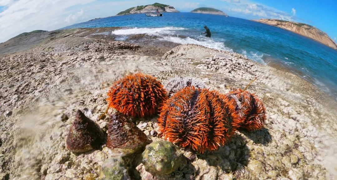 庙湾岛旅游攻略_庙湾岛门票多少钱_庙湾岛旅游平时多少钱