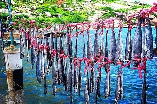 庙湾岛旅游攻略_庙湾岛旅游平时多少钱_庙湾岛民宿