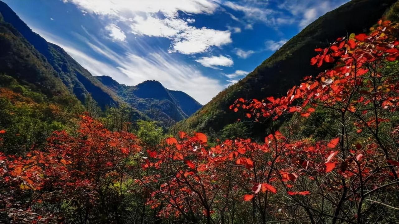 郧西旅游景点五龙河_郧西五龙河旅游攻略_郧西县五龙河自驾游攻略