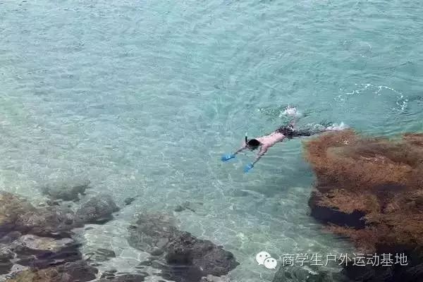 庙湾岛收费吗_庙湾岛旅游攻略_庙湾岛门票多少钱